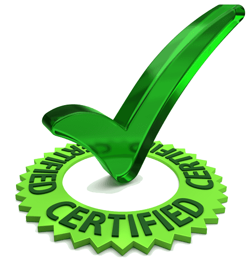 language translation